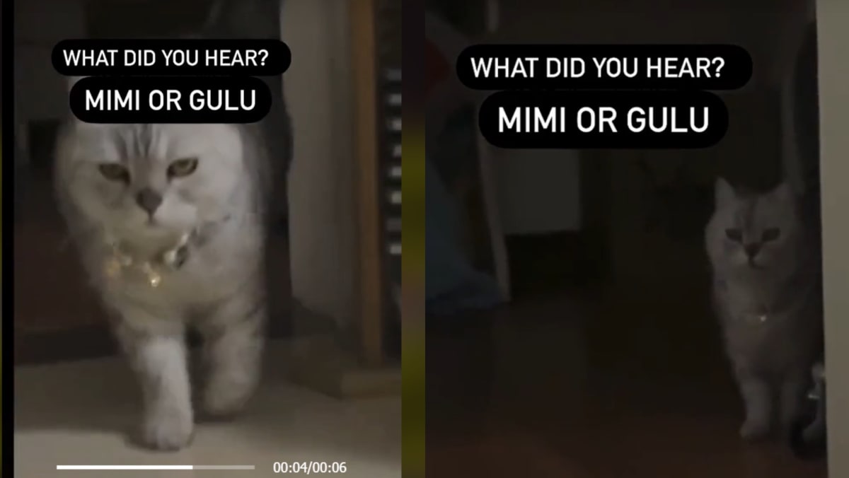 “Gulu or Mimi?”: Netizens Disagree Over What They Hear In Viral Video