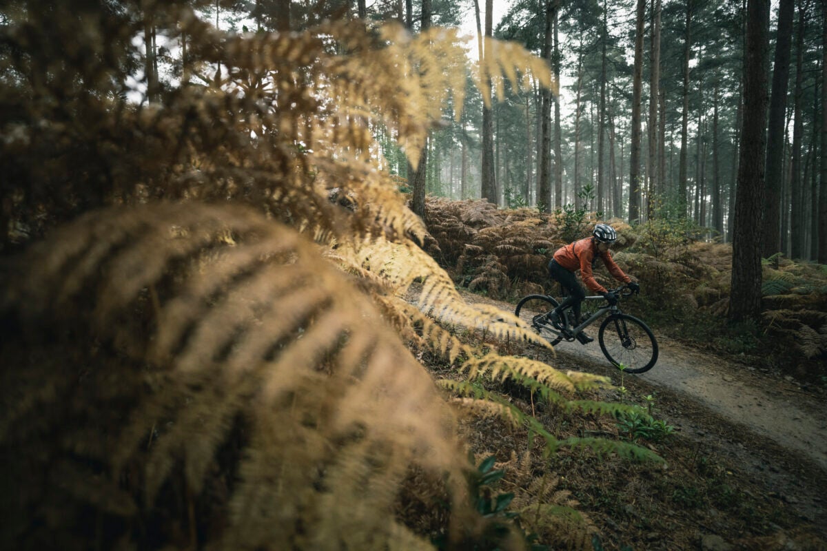 Shoddy Dave’s Great Gravel Gear of 2023