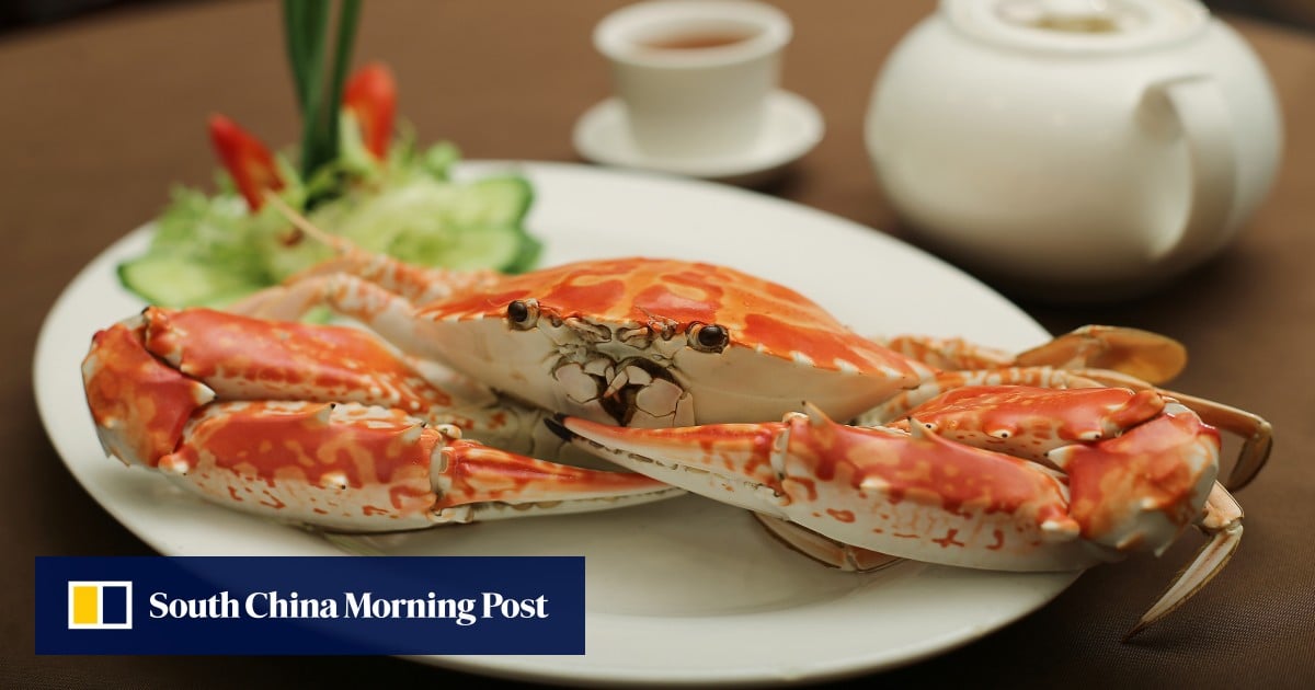 ‘Food I can’t find overseas’: where a Hong Kong native eats authentic Chiu Chow food, dim sum and more when he’s back home