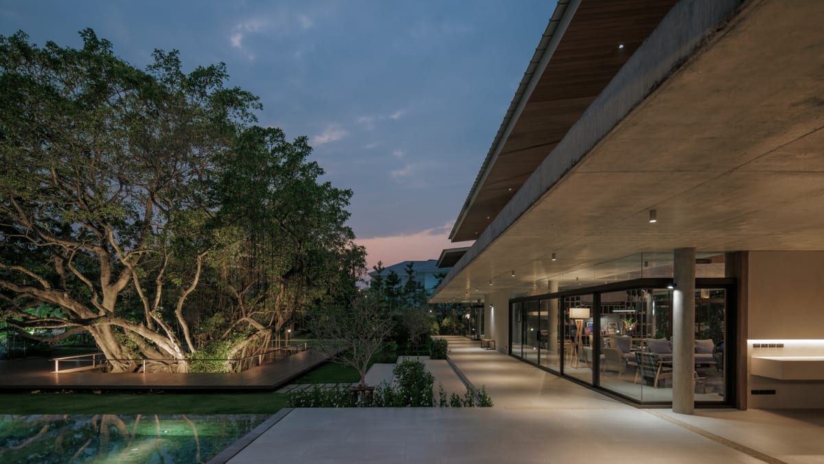 This house in Bangkok is designed around two banyan trees