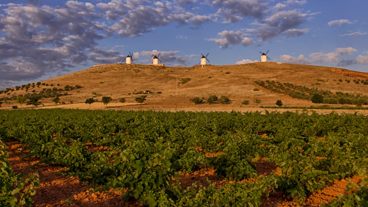 Exploring the underrated wine region of La Mancha in Spain