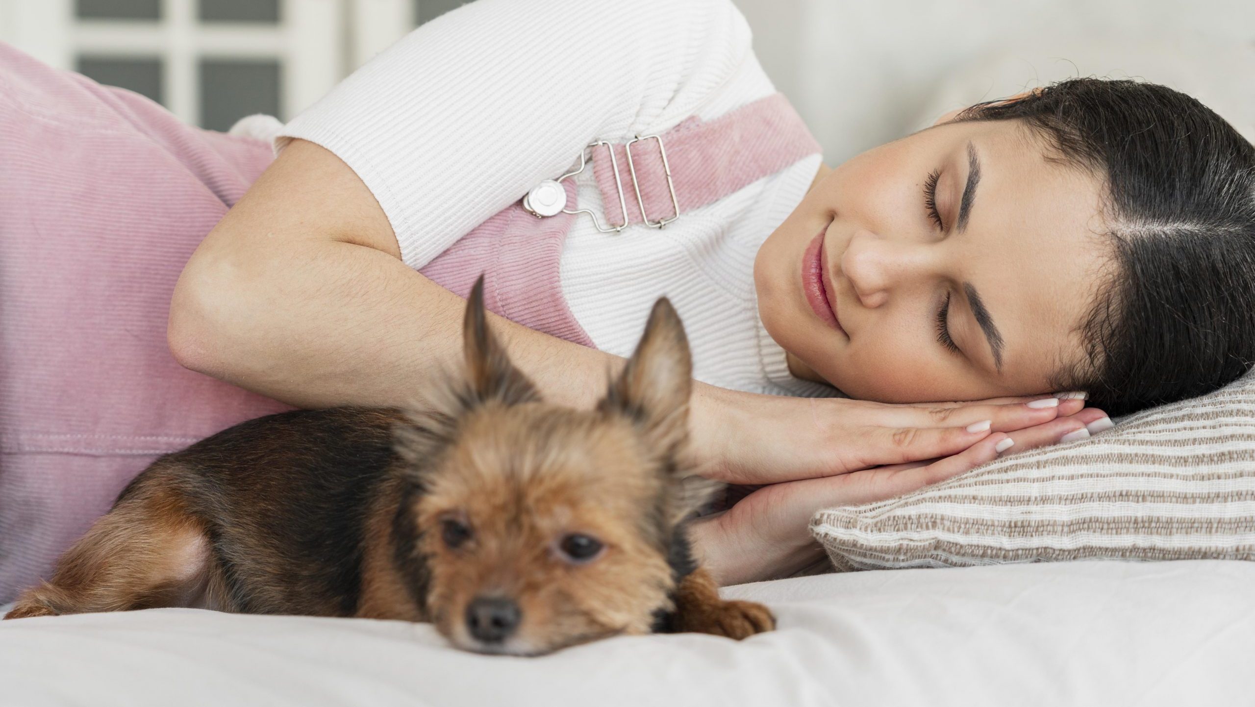 Maid’s employer tells her to share their dog’s mattress to sleep on