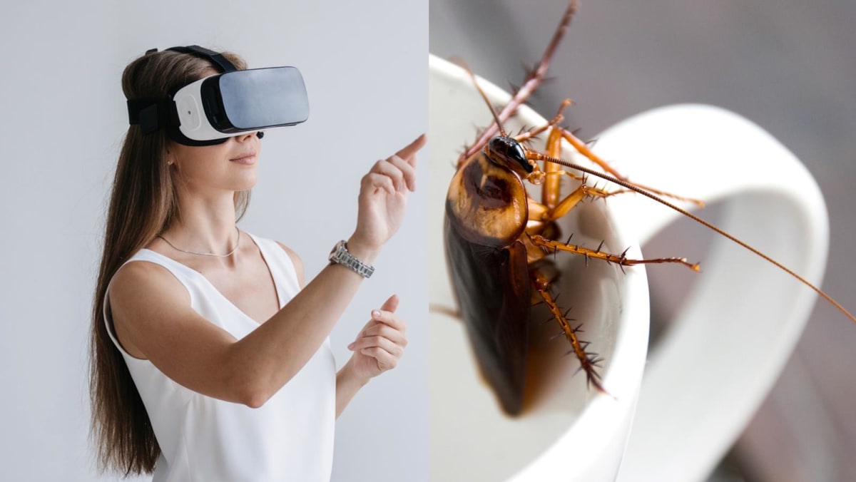 Virtual reality therapy to treat phobias: Is it effective? How does it work?