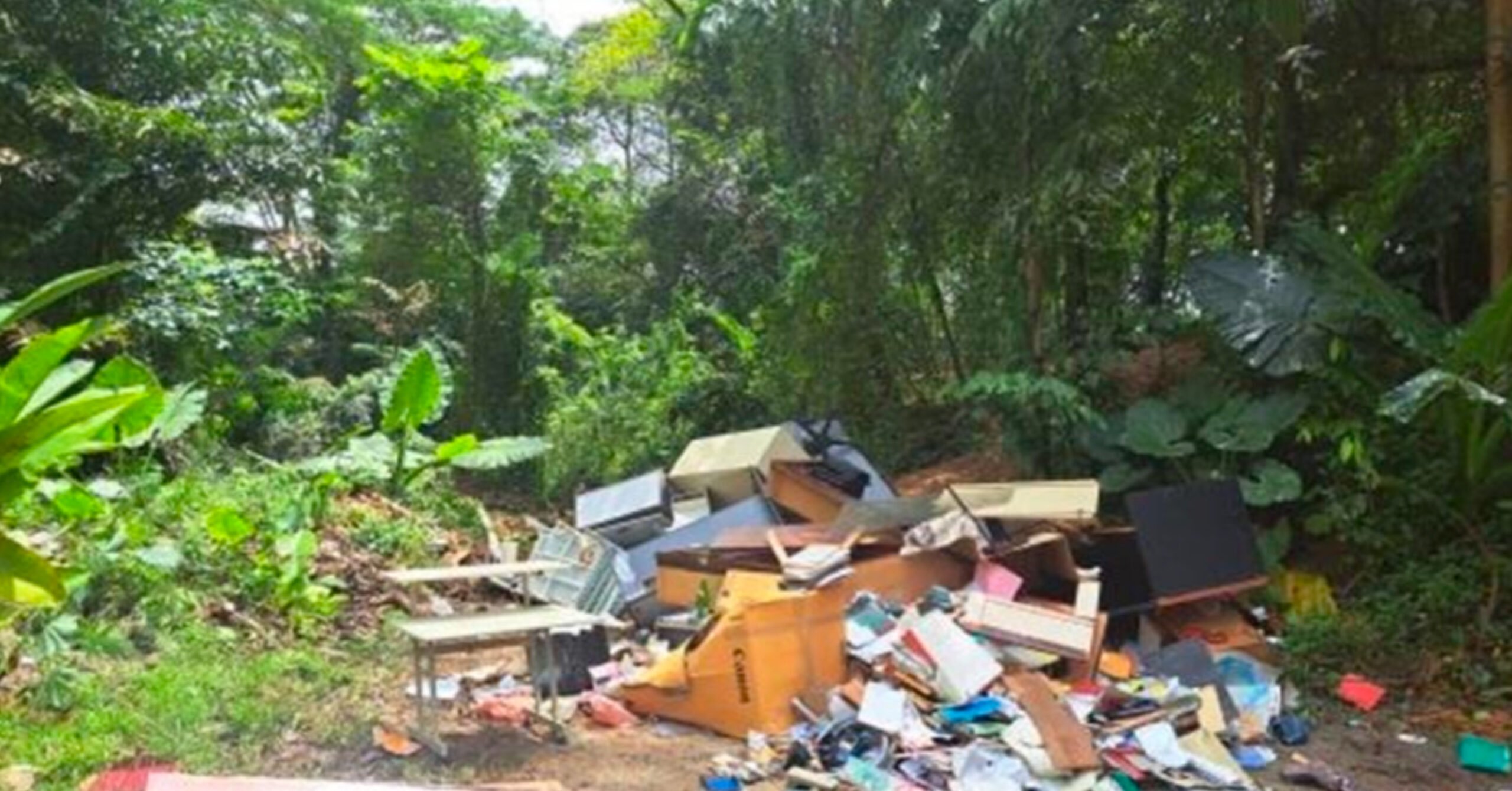 Man Fined ,000 for Illegally Disposing of Office Furniture at a Secluded Spot