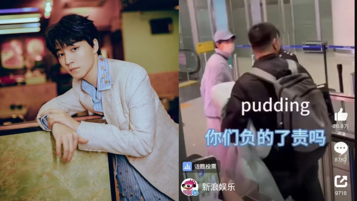 Chinese Idol Karry Wang Loses His Temper At Photographers Who Mobbed Him At Airport