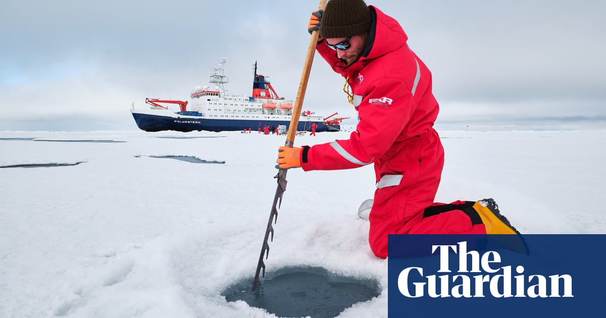 ‘Spoon worms lick the seabed with a metre-long tongue’: a voyage into a vanishing Arctic world | Arctic