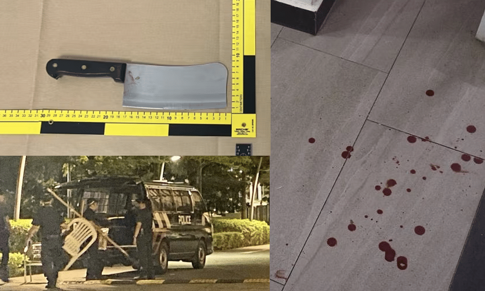 20-year-old man launched attack on seven with chopper in Commonwealth Avenue