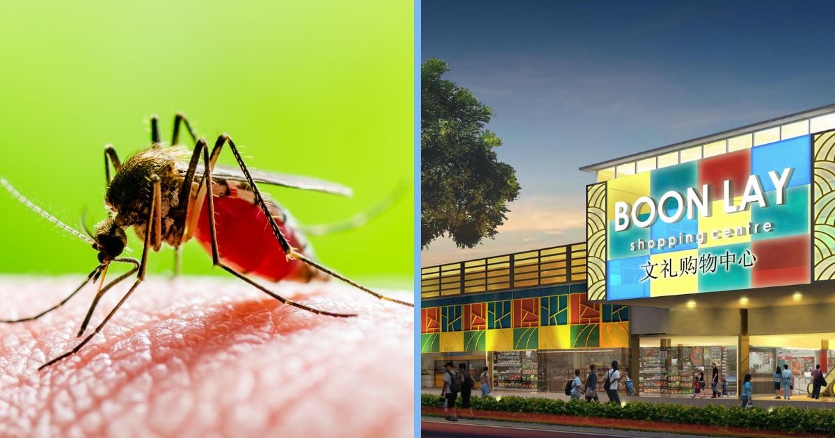 Zika Could Possibly be Spreading in Boon Lay Place; Residents Urged to Protect Themselves