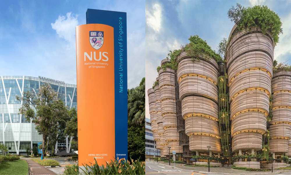 NUS holds 19th, NTU climbs to 32nd in Times World University Rankings 2024