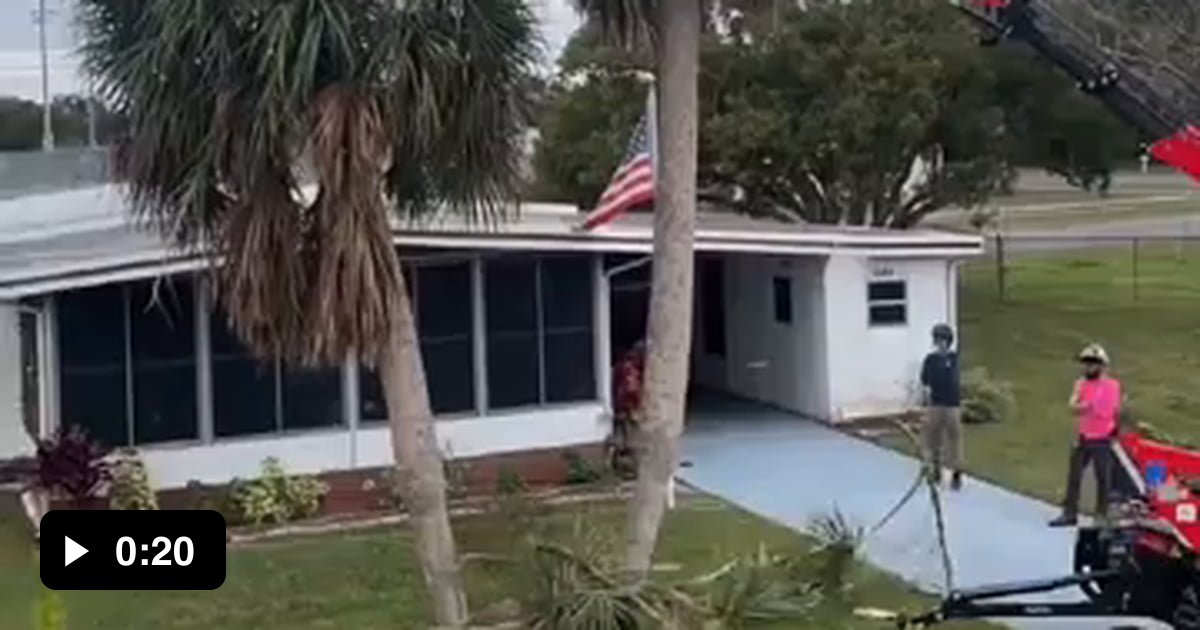 Clipping the palm trees