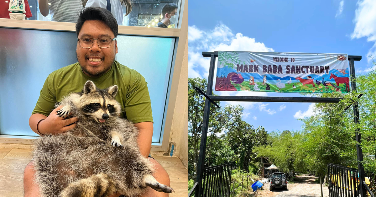 Mark Baba Pets Farms & Exotics, animal petting farm in Sabah