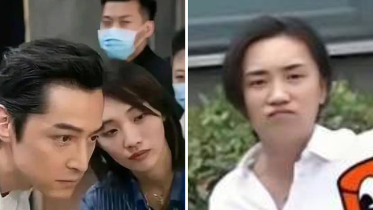 Pics Of Chinese Actor Hu Ge’s Rarely-Seen Assistant-Turned-Wife