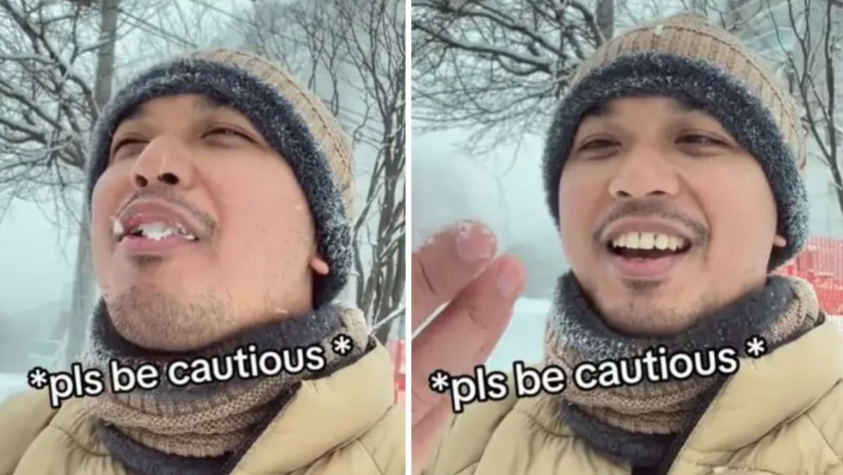 M’sian Man Fell Really Sick For 8 Days After Eating Snow In Japan