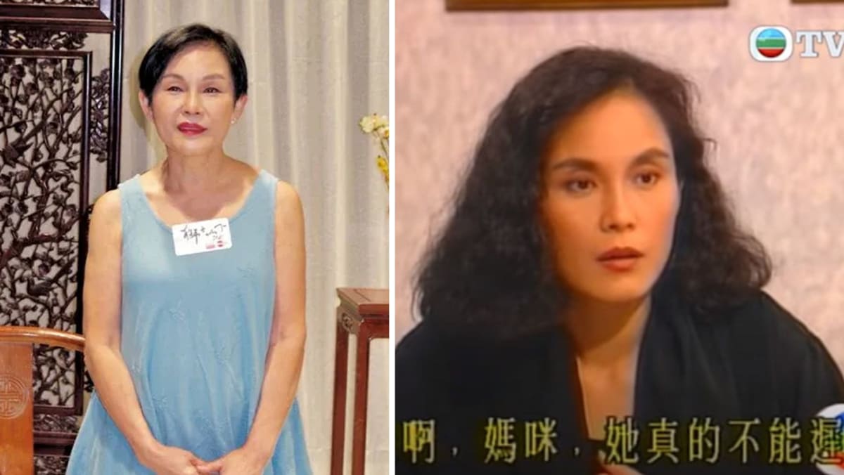 HK Actress Violet Lee, 70, Dies After Refusing Medical Treatment Following Fall In Vancouver Home