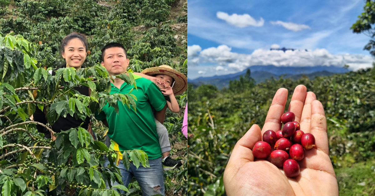 Sabarica Coffee, M’sian specialty coffee producer based in Sabah