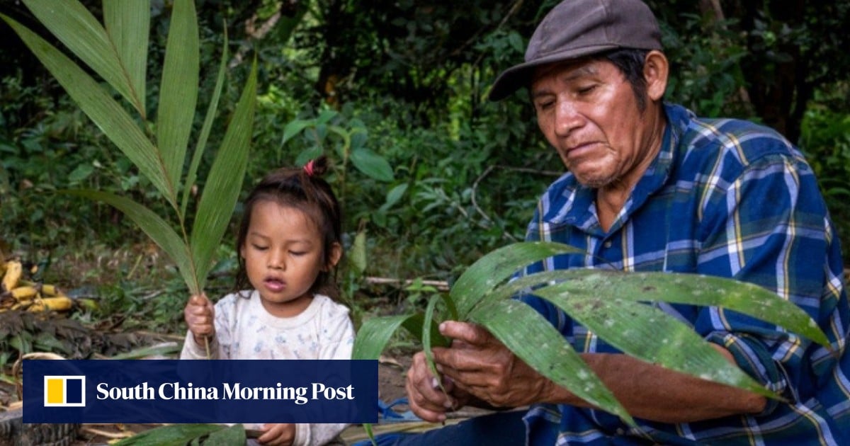 How to prevent dementia: does this Amazonian tribe hold the key? It has an 80% lower incidence than in the West