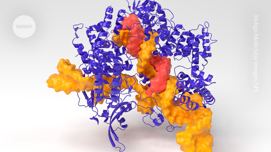 ‘ChatGPT for CRISPR’ creates new gene-editing tools