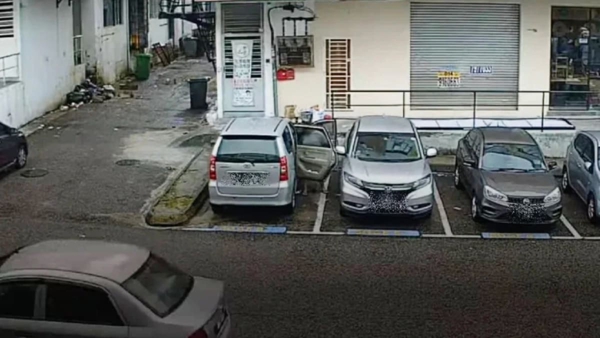 Woman Caught On CCTV Urinating Next To Her Car In Carpark In Johor