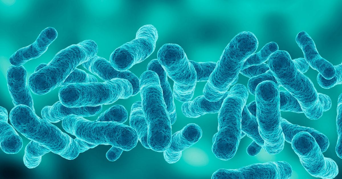 Eating Some Bacteria is Actually Good For You. Here’s Why.