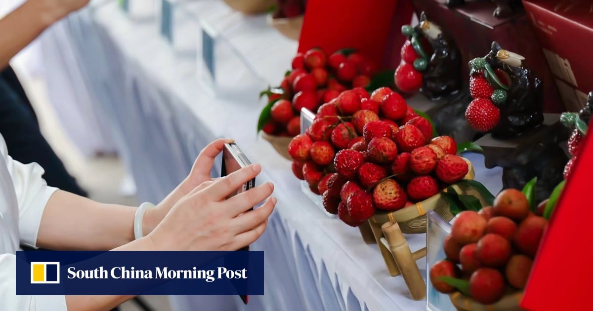 In Huawei’s home province, lychee farmers reap the benefits of China’s rural 5G push