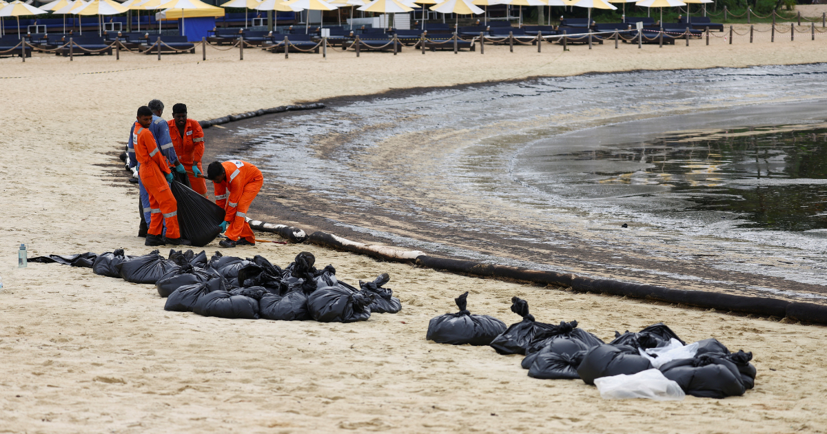 Fish Farms in S’pore Not Affected by Oil Spill & Local Fish is Still Safe for Consumption