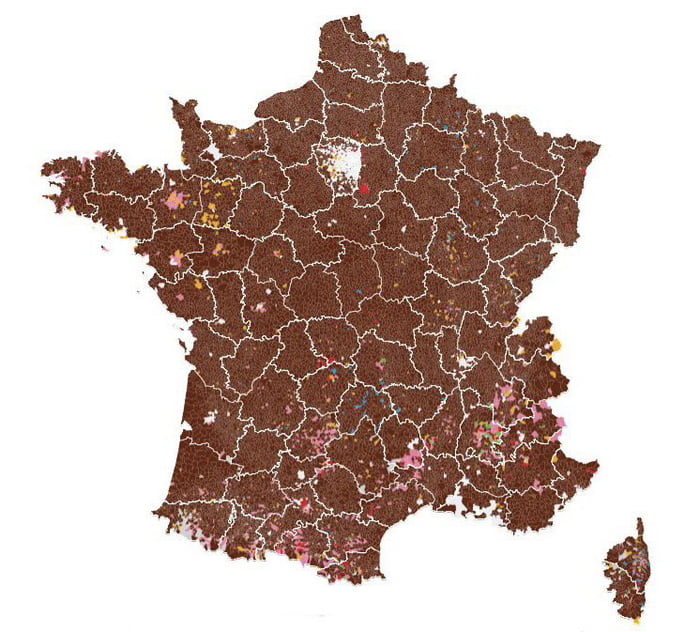 This is a map of the E.U. election results in France tonight. The brown is for the `far-right` parties