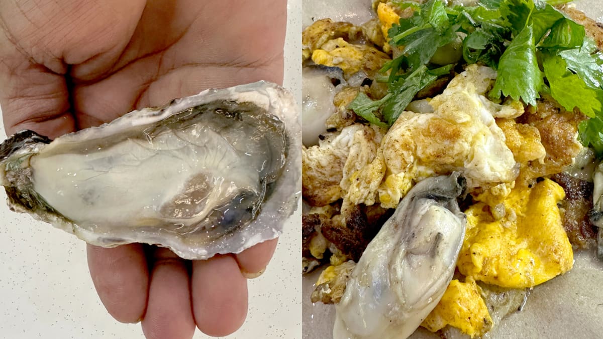 Hawker behind viral ‘humful’ char kway teow now sells oyster omelette with XL fresh oysters