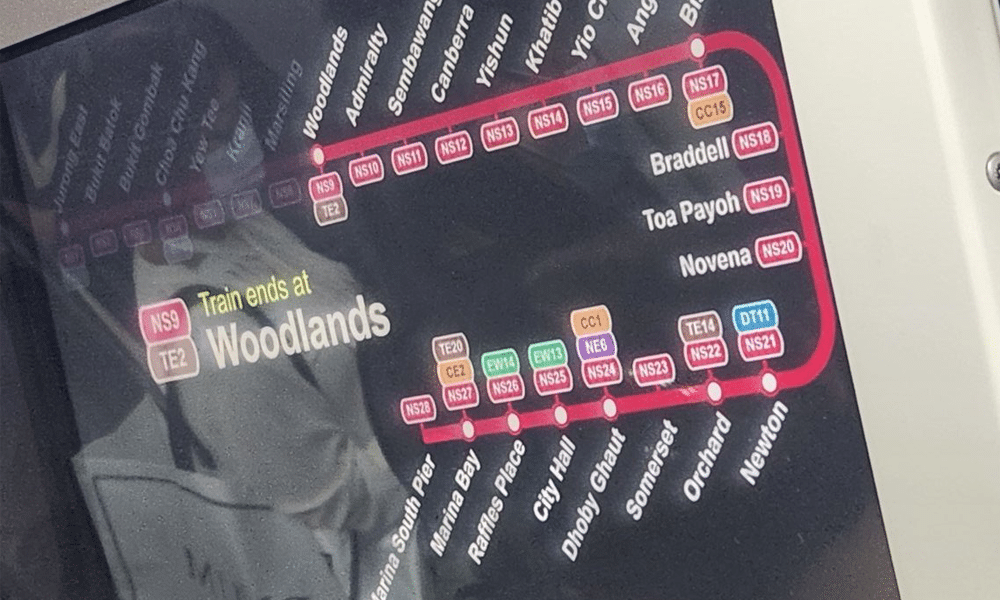 Disruption of service along North-South Line due to traction power fault