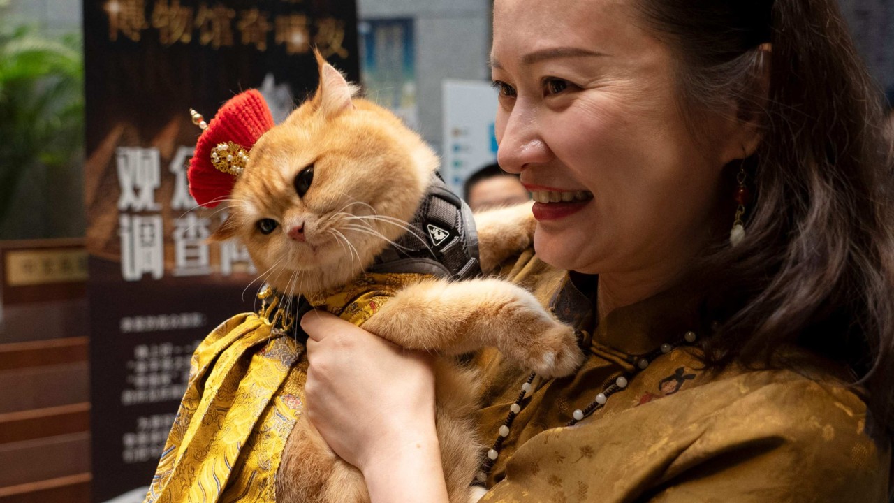 Cat owners bring their pets to Shanghai Museum’s ancient Egypt exhibit celebrating them