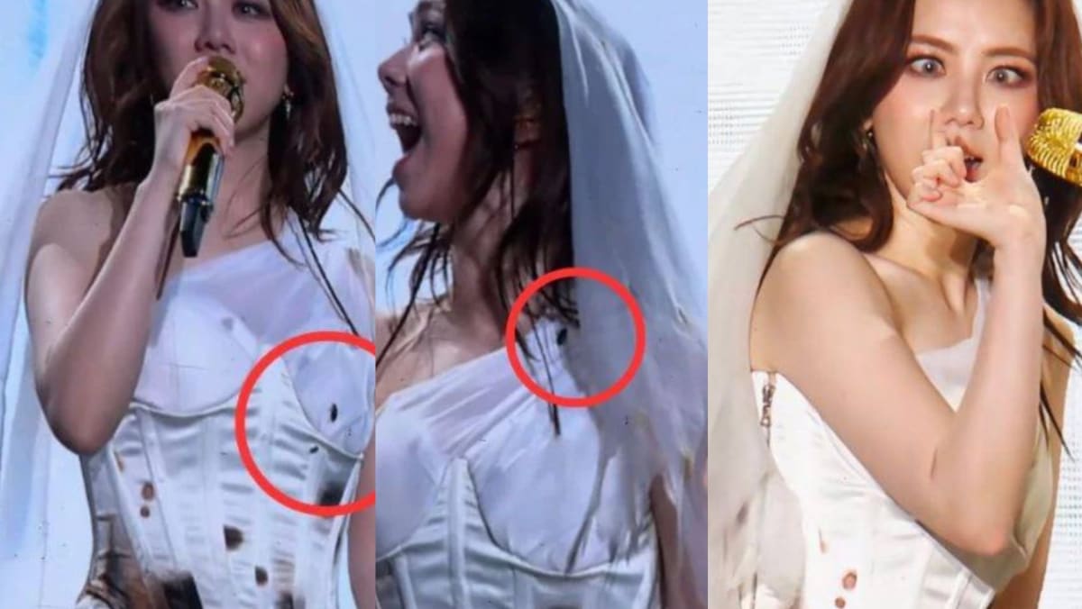 G.E.M Didn’t Realise There Were Bugs Crawling All Over Her During Her Concert In China