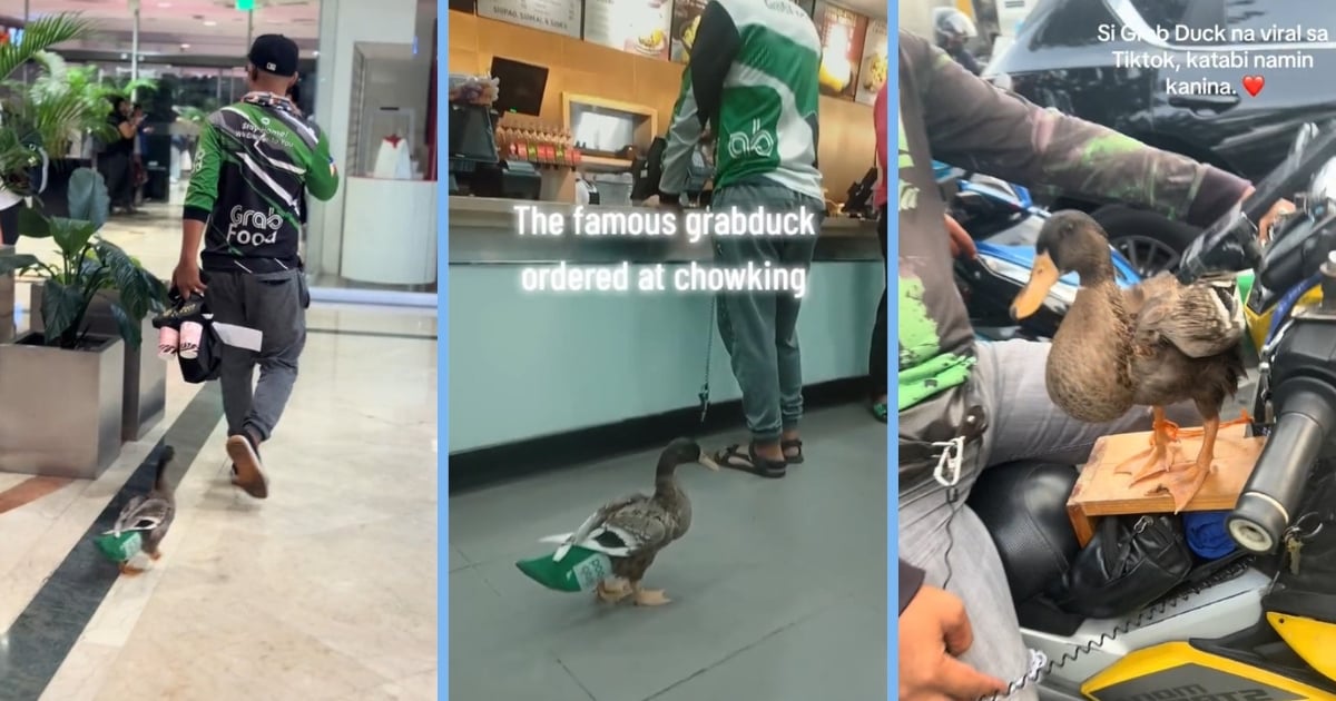 Duck in Grab Uniform Assisting Delivery Rider in Shopping Mall Went Viral