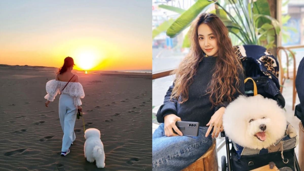 Jolin Tsai Mourns Death Of 18-Year-Old Bichon Frise