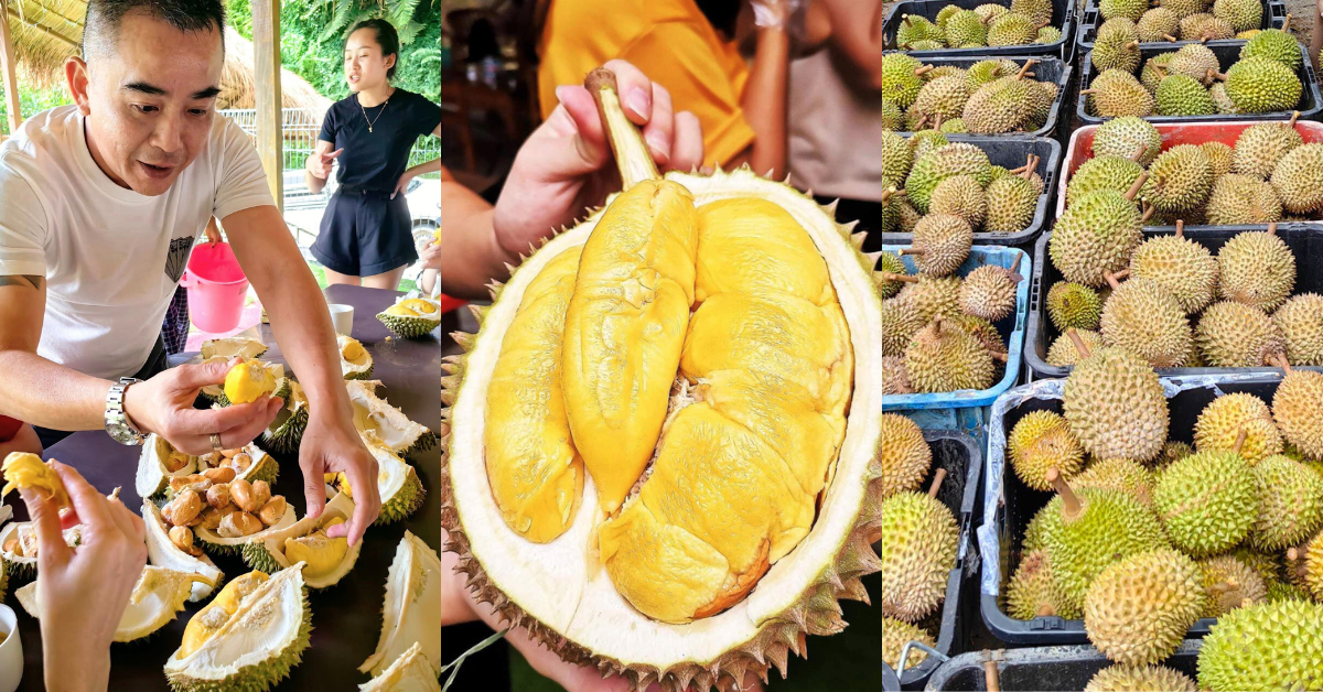 6 durian buffet spots around M’sia in 2024, with prices & variety