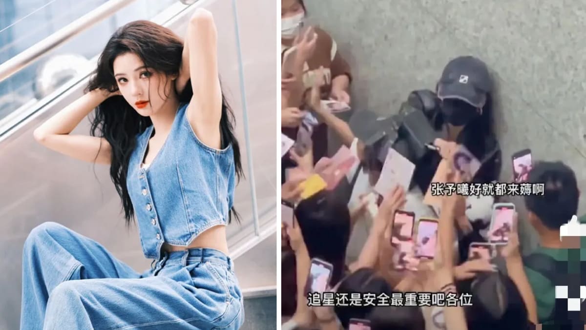 Chinese Actress Zhang Yuxi Trapped Against Wall By Photo-Seeking Fans