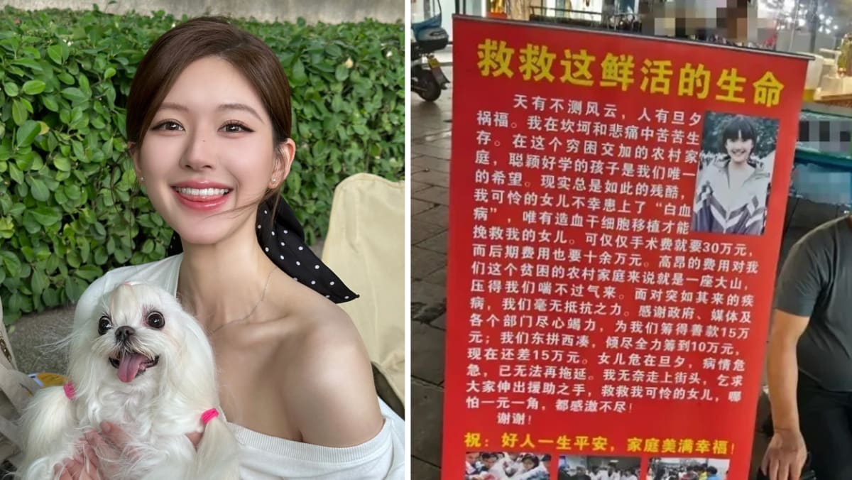 Chinese Actress Zhao Lusi’s Childhood Photo Misused By Street Beggar To Solicit Donations