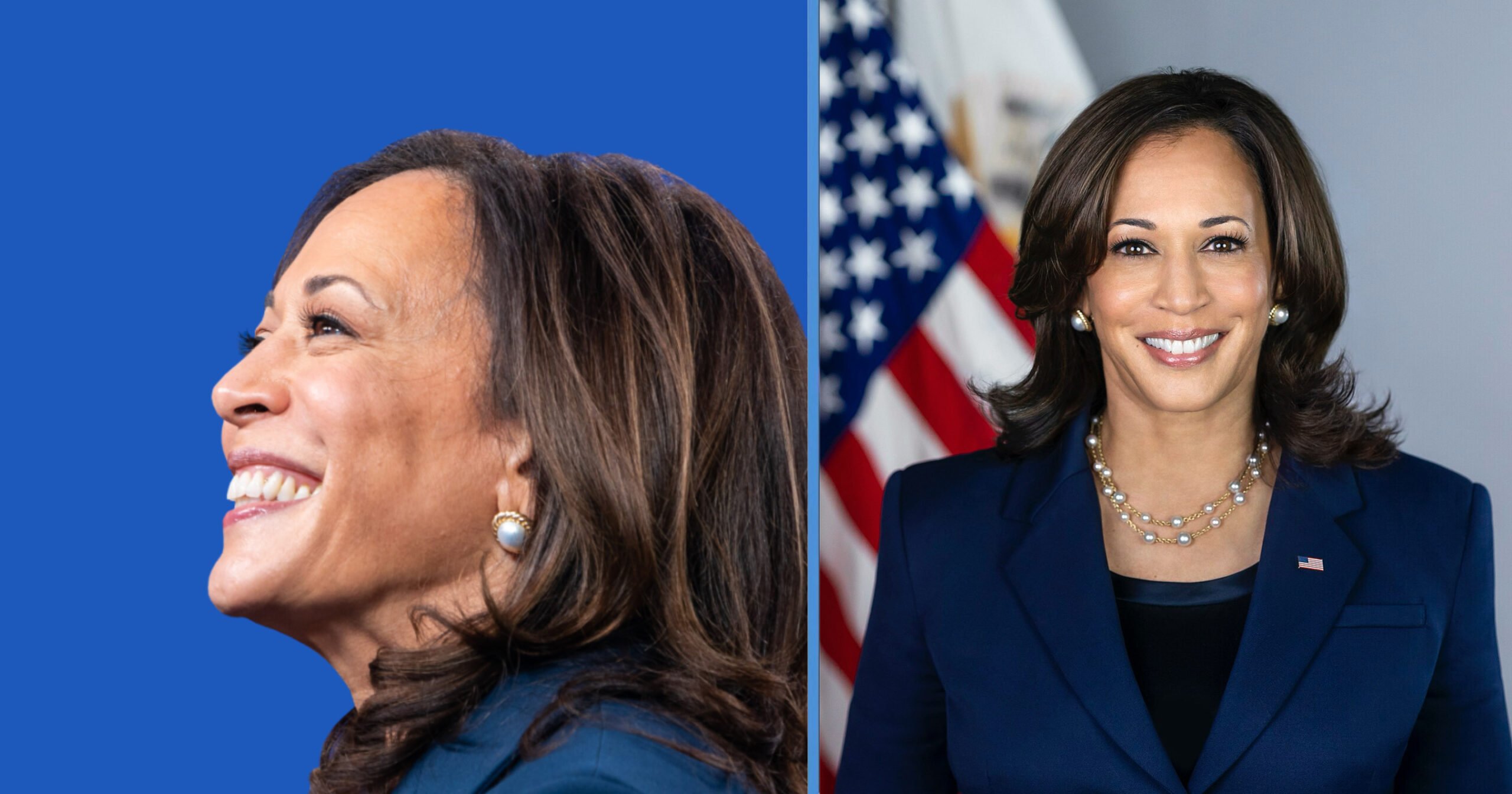 Confirmed: Kamala Harris Will Be Up Against Donald Trump in Presidential Election 2024