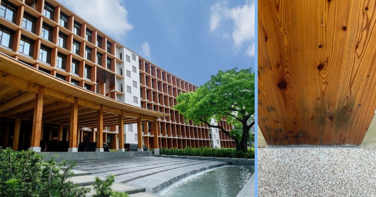 NTU’s 5 Million Sustainable Wooden Building Has Signs of Moulding