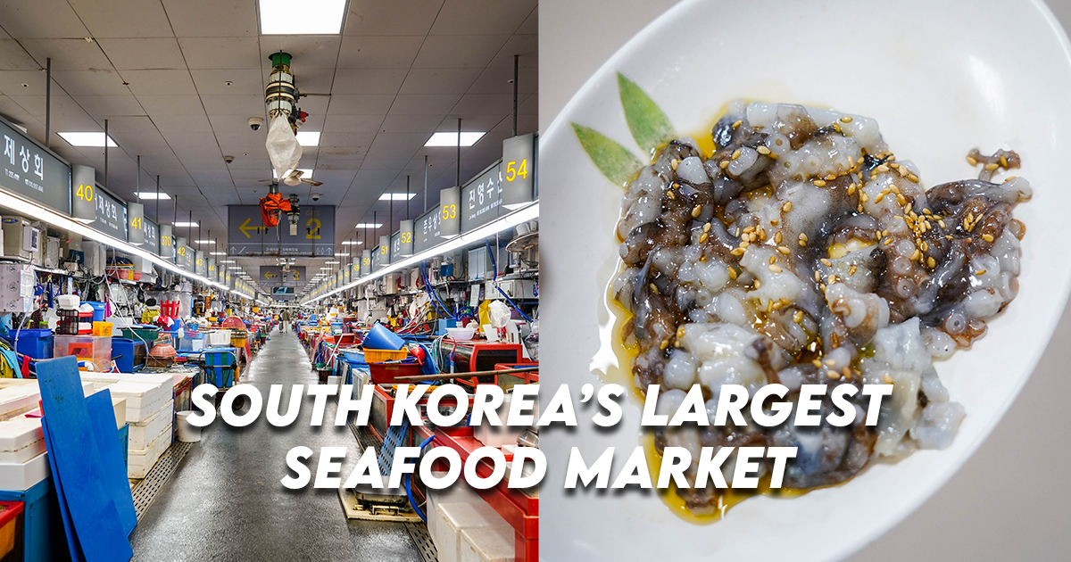 Jagalchi Market Busan – Things You Should Know Before Visiting Korea’s Largest Seafood Market