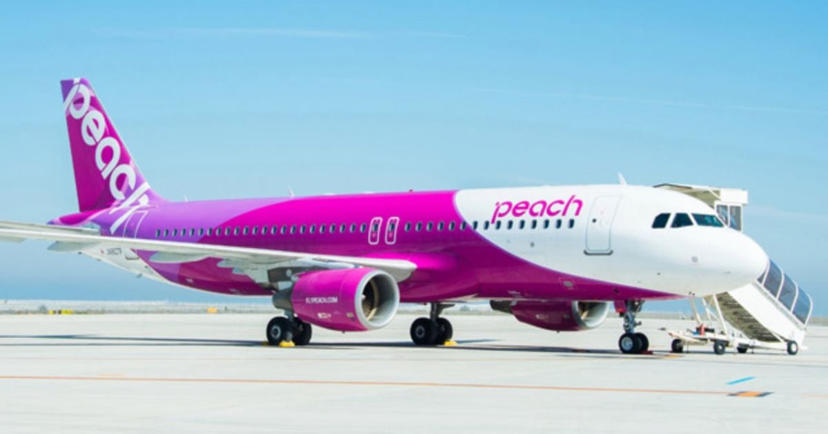 Japanese Budget Airline Peach Aviation to Start Flights Between S’pore & Osaka from Dec 2024