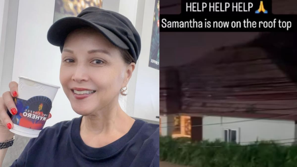 Aileen Tan’s Niece Was Trapped For Almost 7 Hours On Roof Of Phuket Villa During Flood