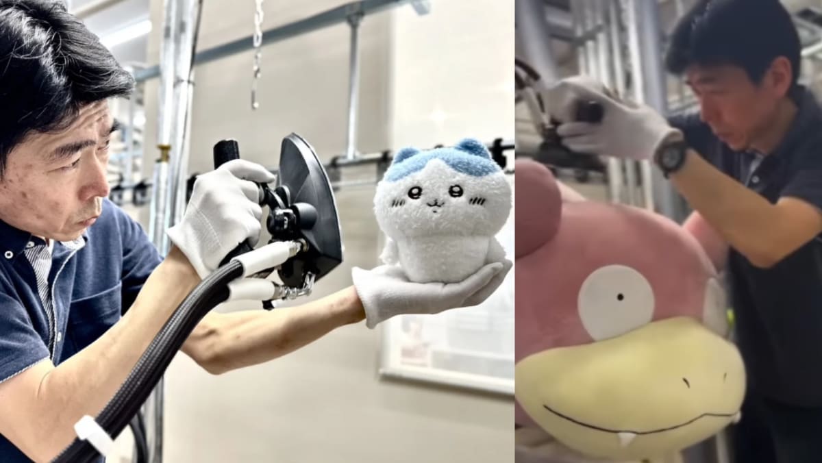 Soft Toy Cleaning Service In Japan Becomes A Hit On The Internet