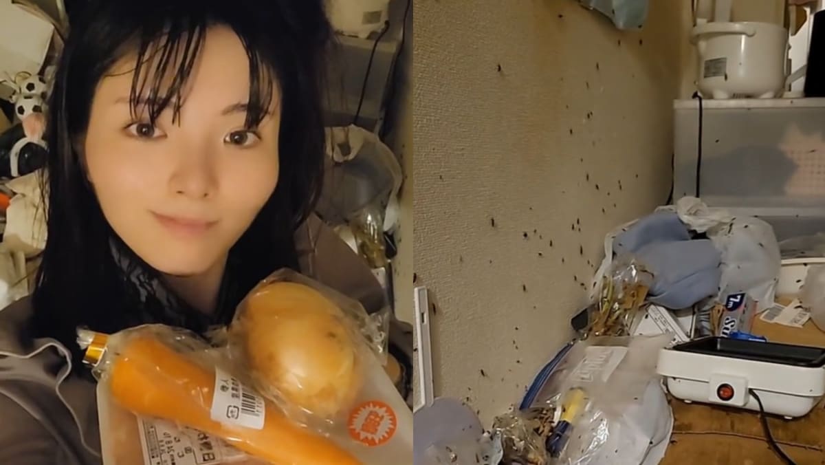 Japanese TikToker Lives & Cooks In Bug-Infested Apartment, Evicted After Not Paying Rent For 21 Months