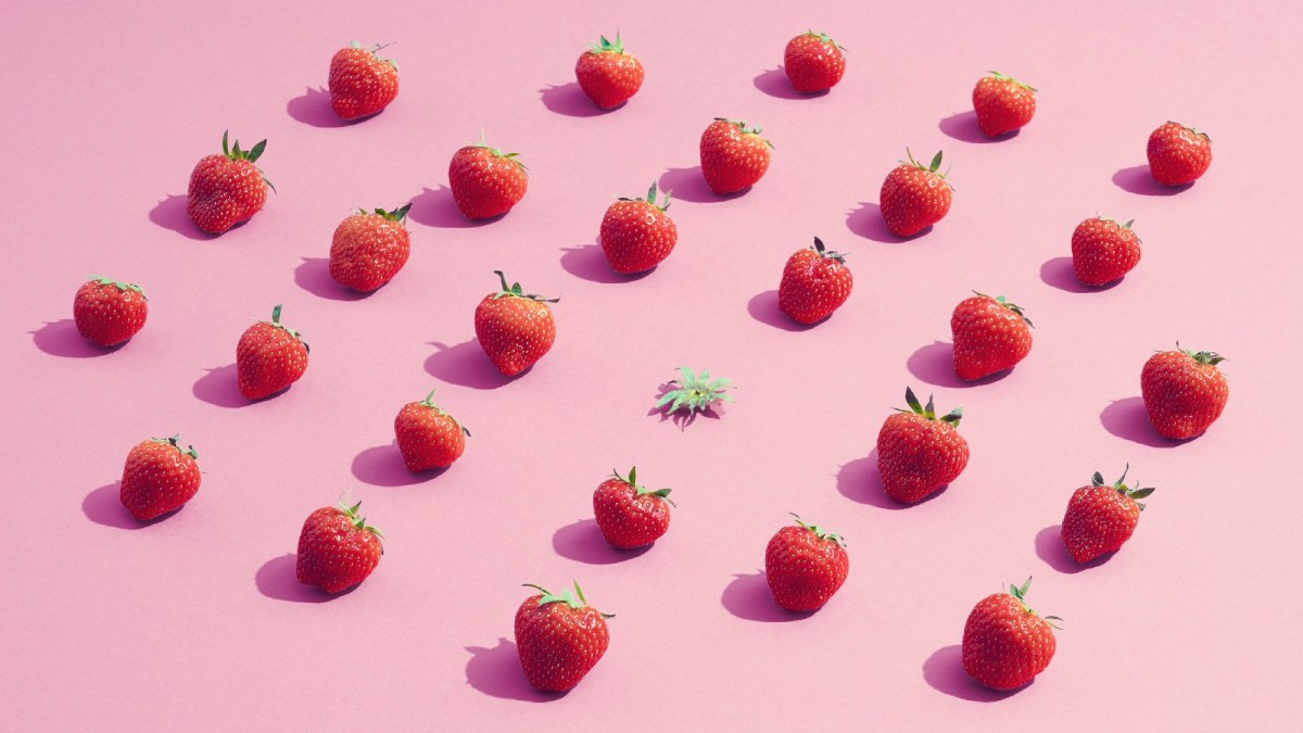 Why AI can’t spell ‘strawberry’