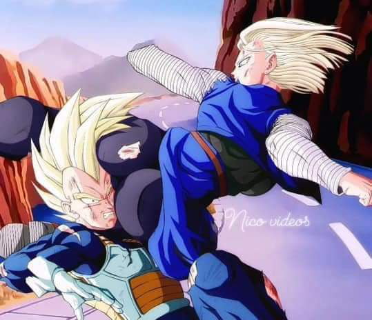 Remember, Vegeta did nothing to stop that attack