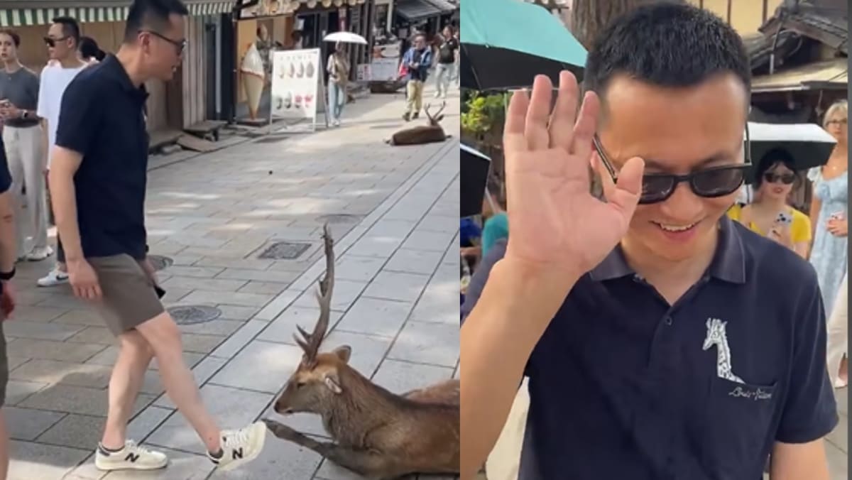 Male Tourist Scolded After Getting Caught Using Feet To Disturb Deer In Nara Japan