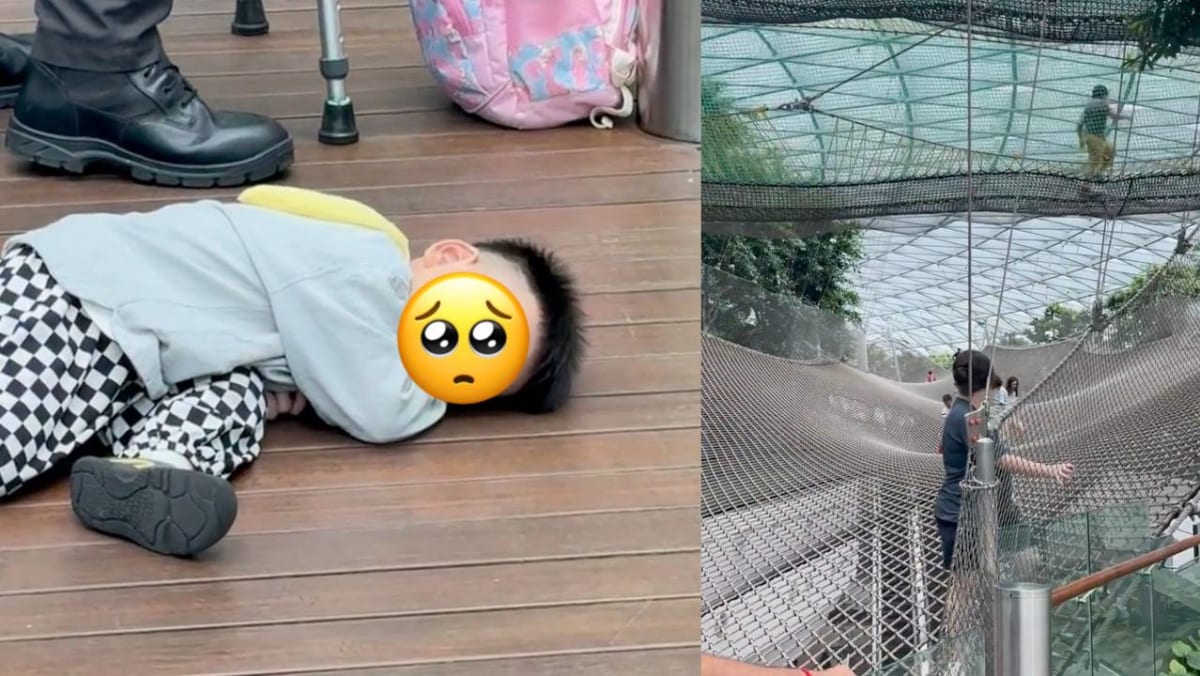 3-Yr-Old Boy Lies Heartbroken On Floor Of Jewel ‘Cos He Doesn’t Hit Height Requirement For Walking Net, Wins Internet Over