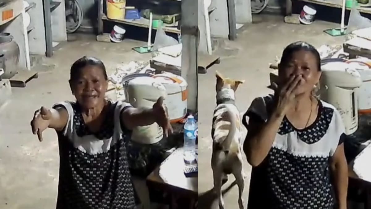 Thai Woman Living 400km From Home Exchanges Sweet Messages With Mum Through CCTV; Touches The Internet