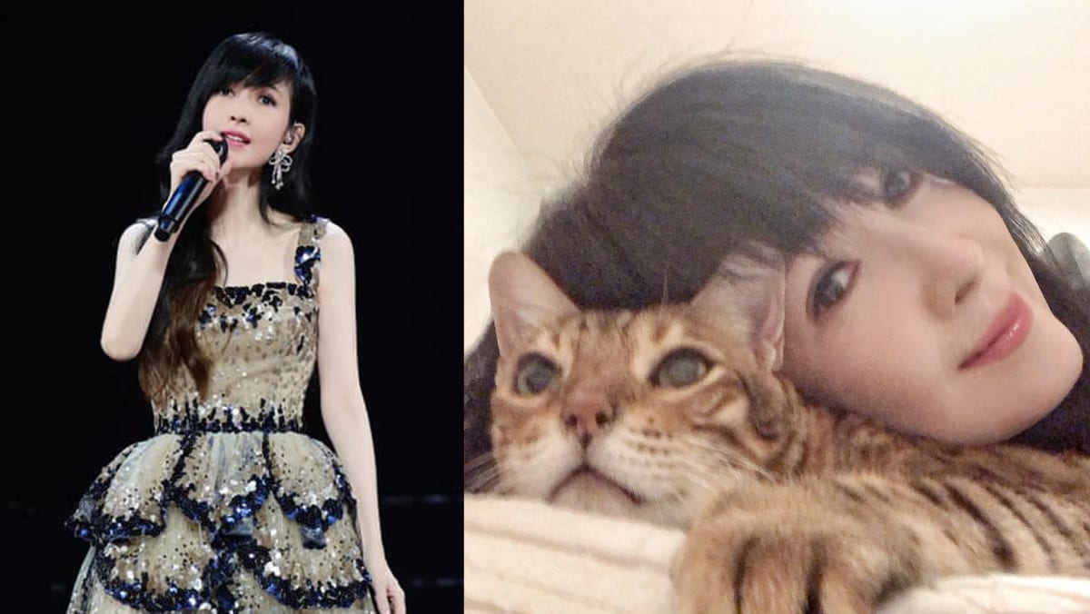 Vivian Chow Retiring From Performing To Spend Time With Her Cats