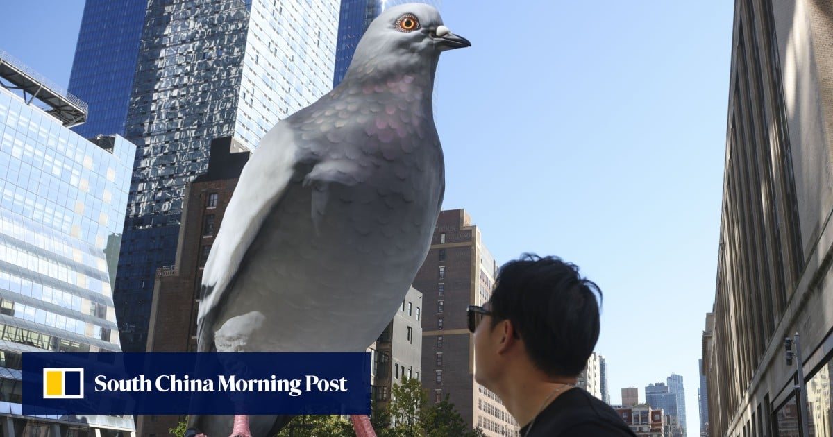 Giant pigeon statue on New York’s High Line challenges residents’ views on immigration