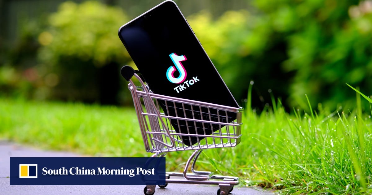 TikTok owner ByteDance faces flagging growth as e-commerce rivals, geopolitics take toll